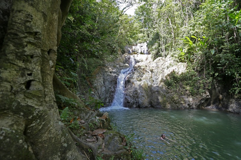 am Argyle Wasserfall Tobago 24.01.2015