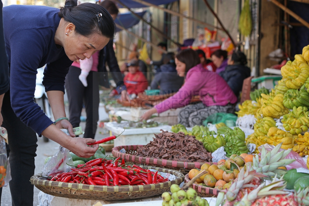 auf dem Dong-Xuan-Markt Hanoi 07.02.2016 auf dem Dong-Xuan-Markt Hanoi 07.02.2016