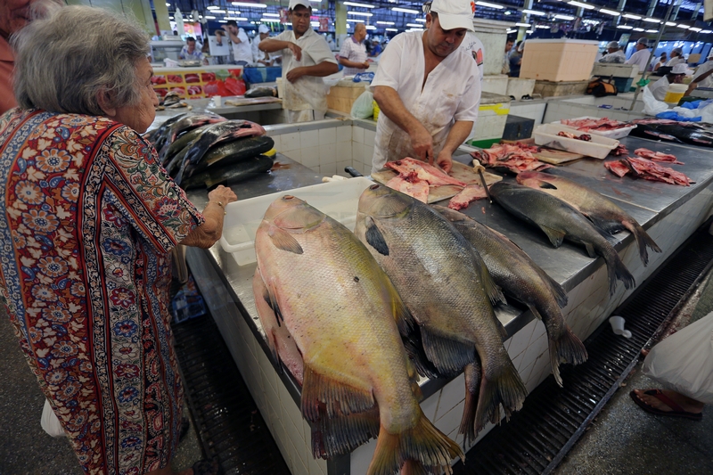 Auf dem Fischmarkt in Manaus am 13.01.2015