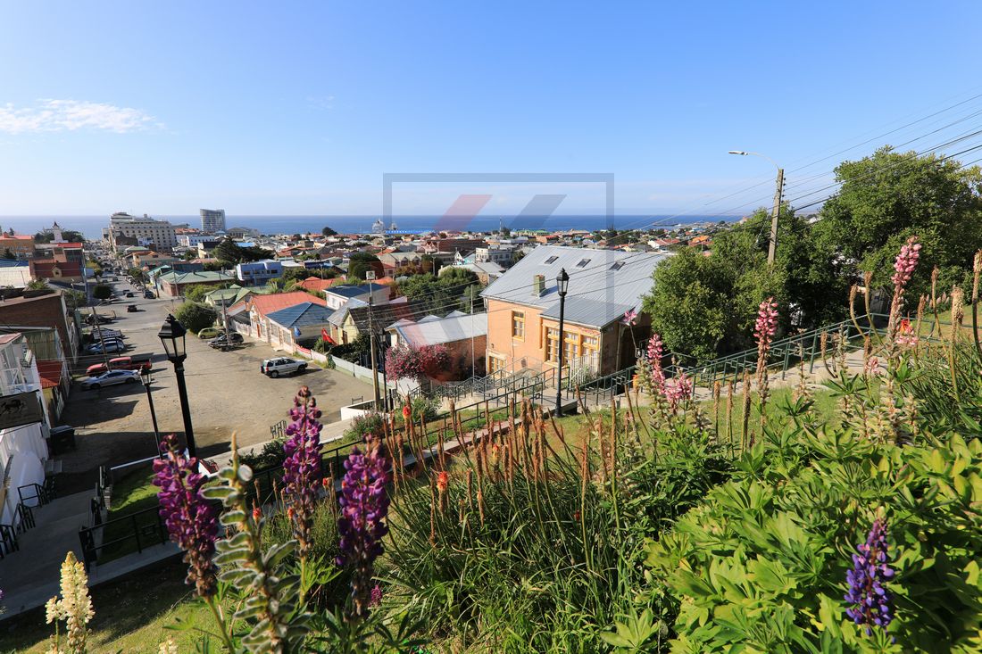 Ausblick auf Punta Arenas, Chile