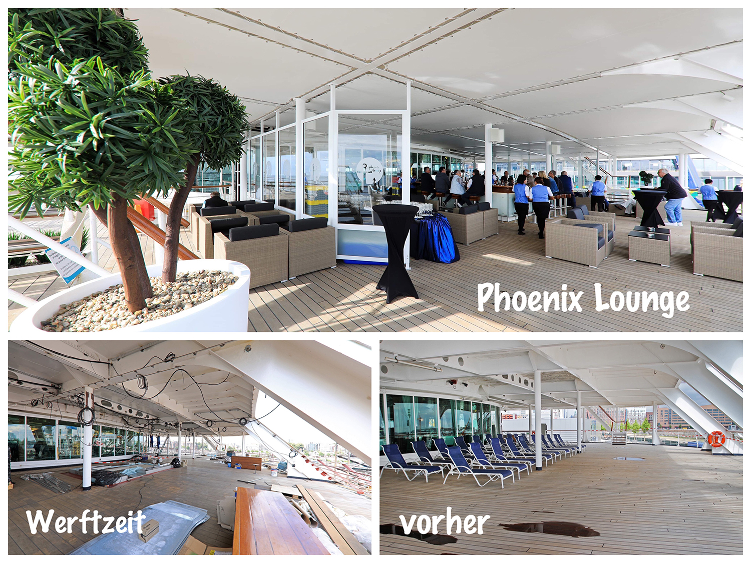 Bild 16 leeres Deck wird Phoenix Lounge Bild 16 leeres Deck wird Phoenix Lounge