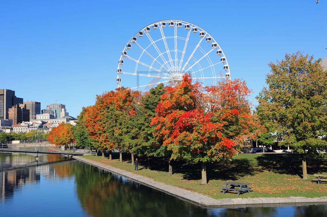 Blattverfärbungen an der Harbourfront von Montreal Blattverfärbungen an der Harbourfront von Montreal