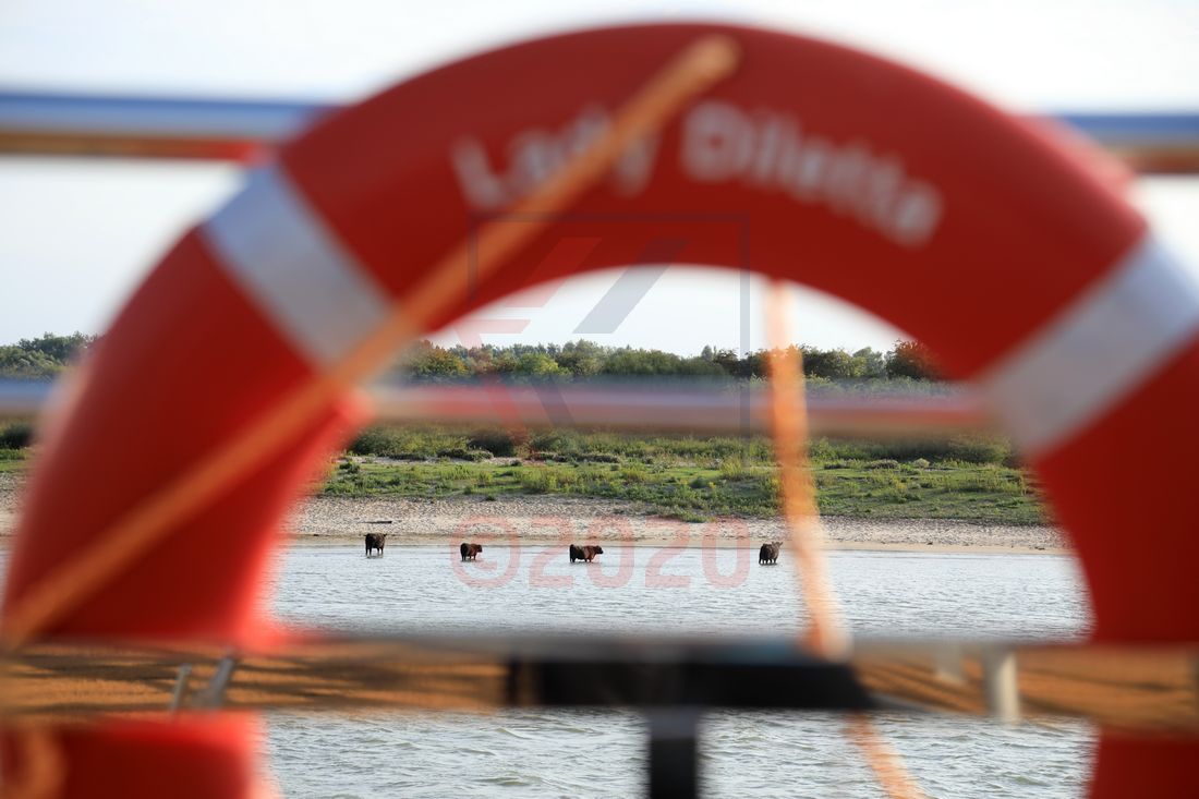 Blick von Bord der Lady Diletta Blick von Bord der Lady Diletta