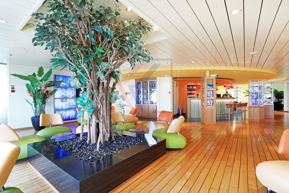 Body and Soul Rezeption und Bar AIDAdiva