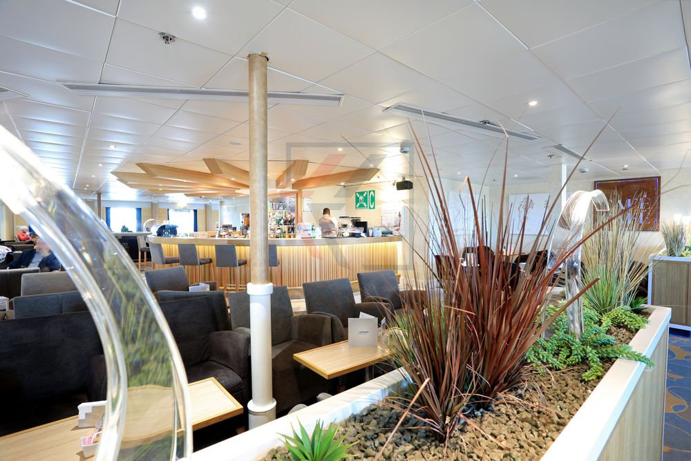 Café Café Lounge MS Zenith