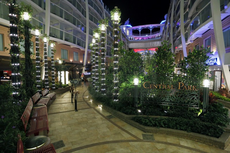 Central Park Allure of the Seas bei Nacht