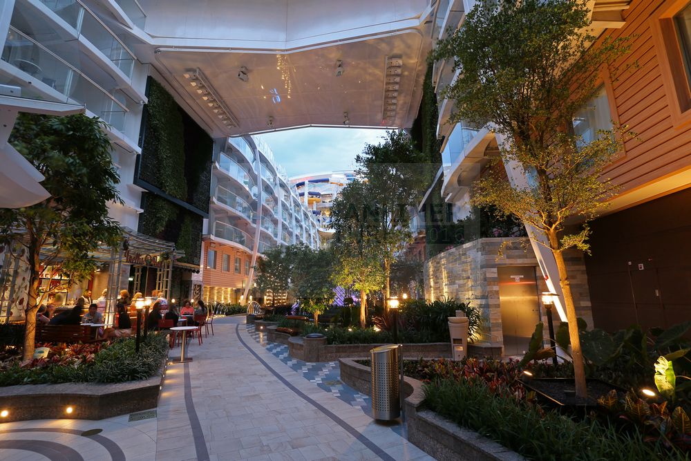 Central Park Harmony of the Seas am Abend