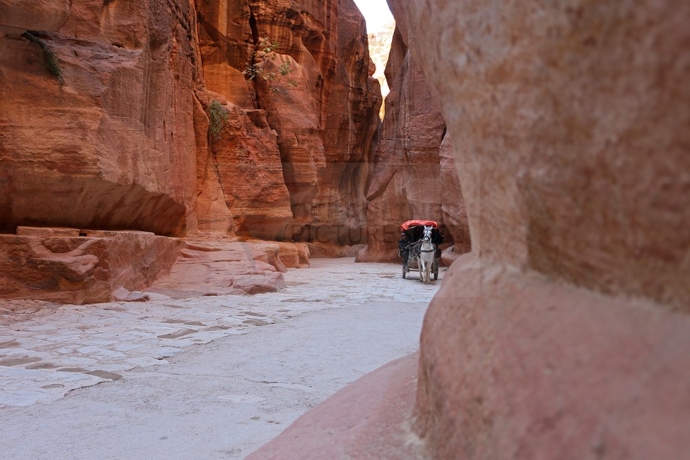 der Siq als Zugang in die Felsenstadt Petra in Jordanien der Siq als Zugang in die Felsenstadt Petra in Jordanien