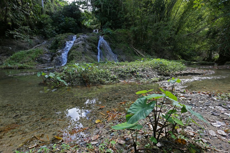 die kleinen Mason Falls auf Tobago am 24.01.2015