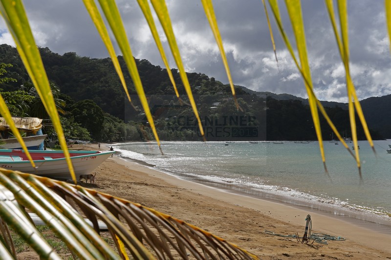 die Man of War Bay Tobago 24.01.2015