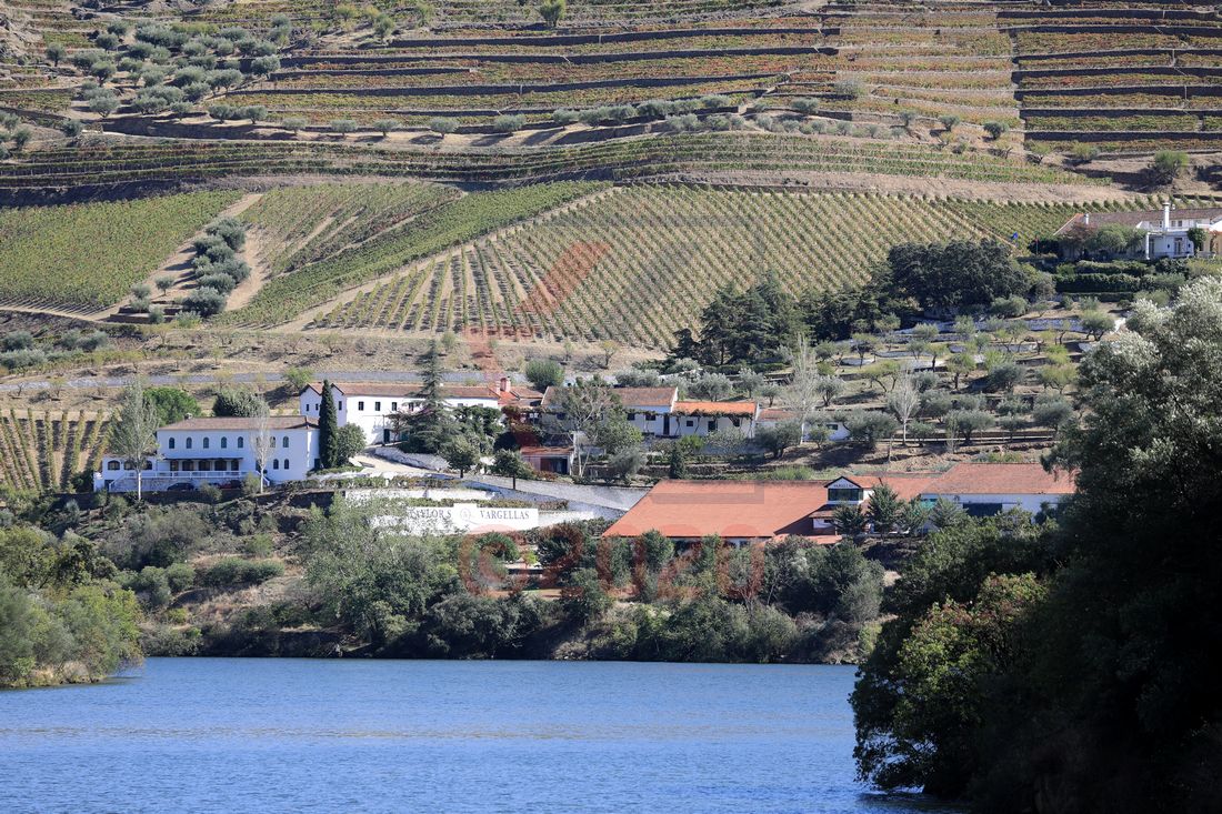 Douro-Valley nach Barca d´Alva