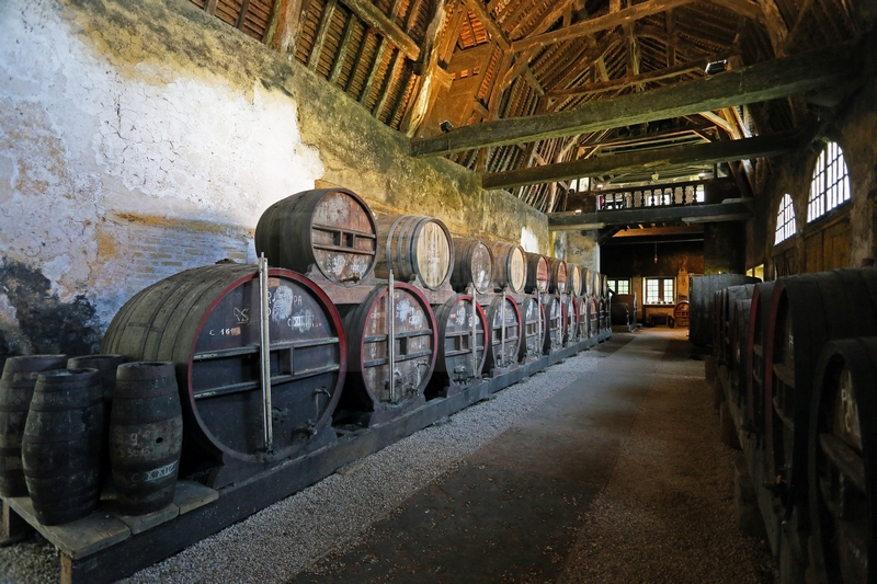 Eichenfaesser Orangerie Keller Chateau du Breuil 01.06.2015