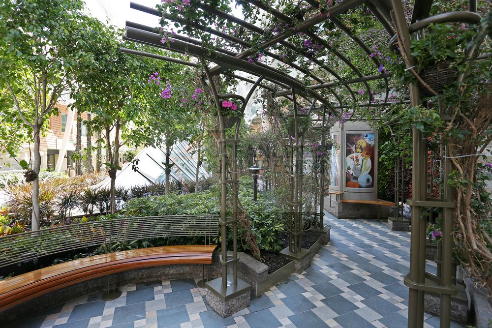 Eindrücke vom Central Park Harmony of the Seas