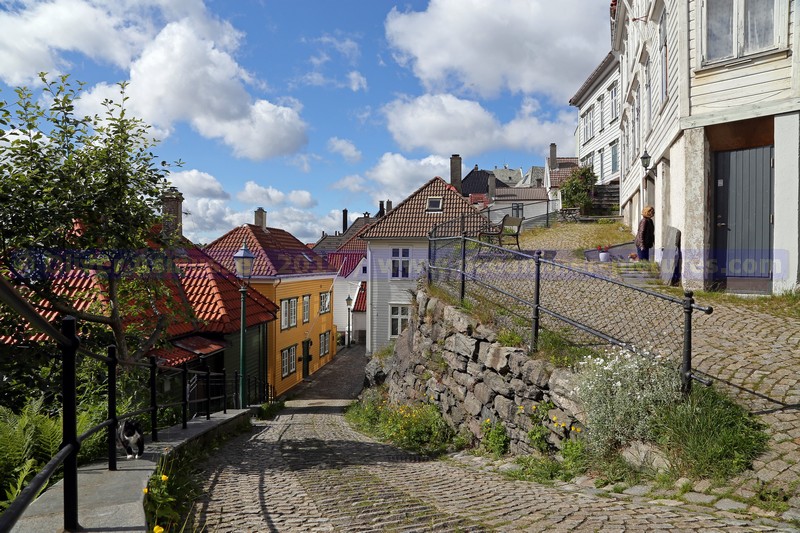 enge Straßen schlaengeln sich den Floyen in Bergen hinauf enge Straßen schlaengeln sich den Floyen in Bergen hinauf