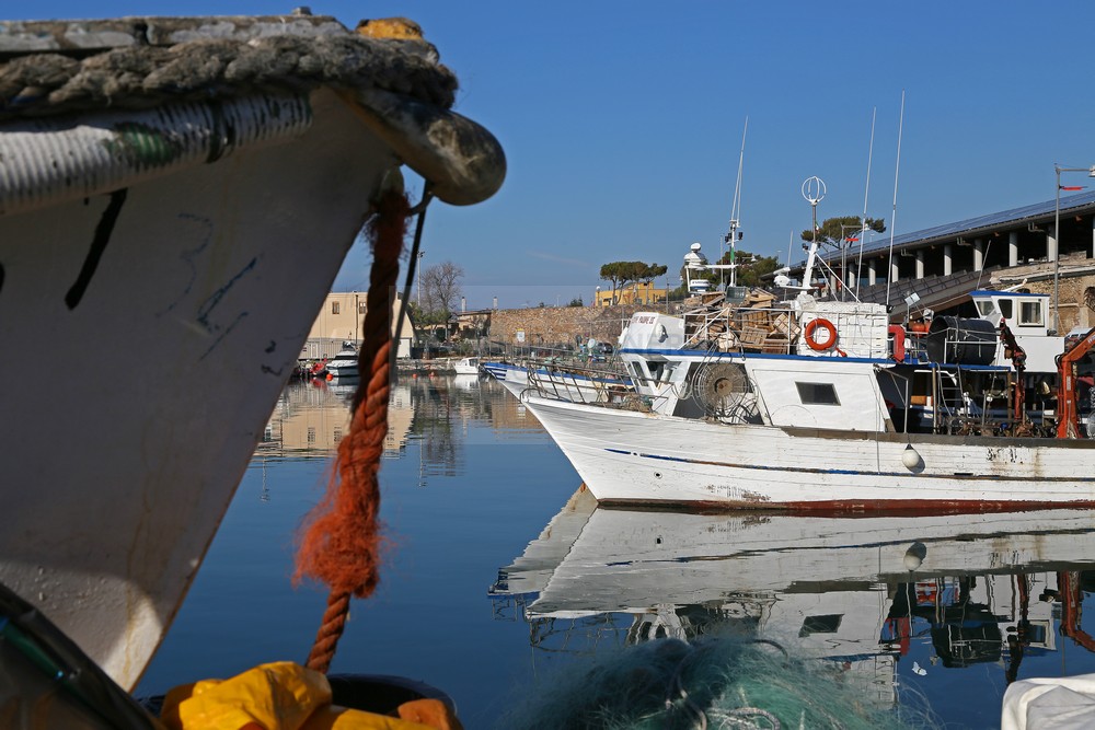 Fischerboote im Hafen von Civitavecchia 21.12.2015
