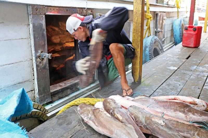 Fischhaendler in Jutai am Amazonas 05.01.2015 Fischhaendler in Jutai am Amazonas 05.01.2015