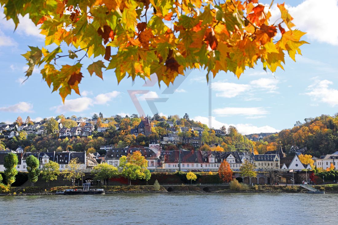 Herbstimpressionen am Konrad-Adenauer-Ufer in Koblenz