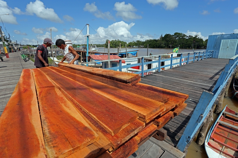 Holzhandel in Afua am Amazonas-Delta am 17.01.2015 Holzhandel in Afua am Amazonas-Delta am 17.01.2015