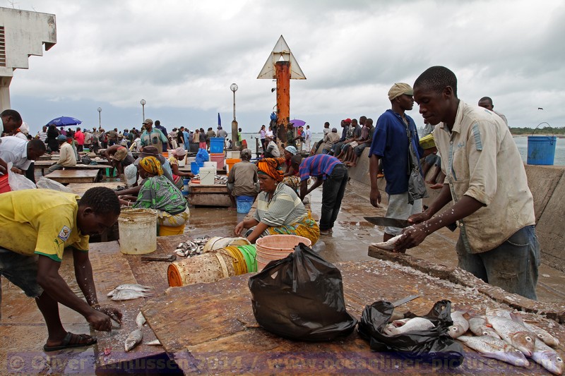 Kreuzfahrt MS HAMBURG, Dar es Salaam, Tansania 