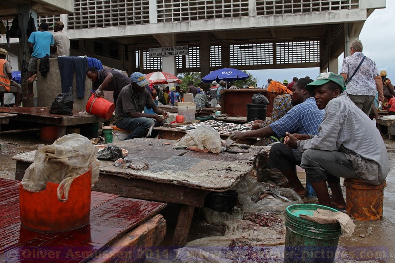 Kreuzfahrt MS HAMBURG, Dar es Salaam, Tansania 