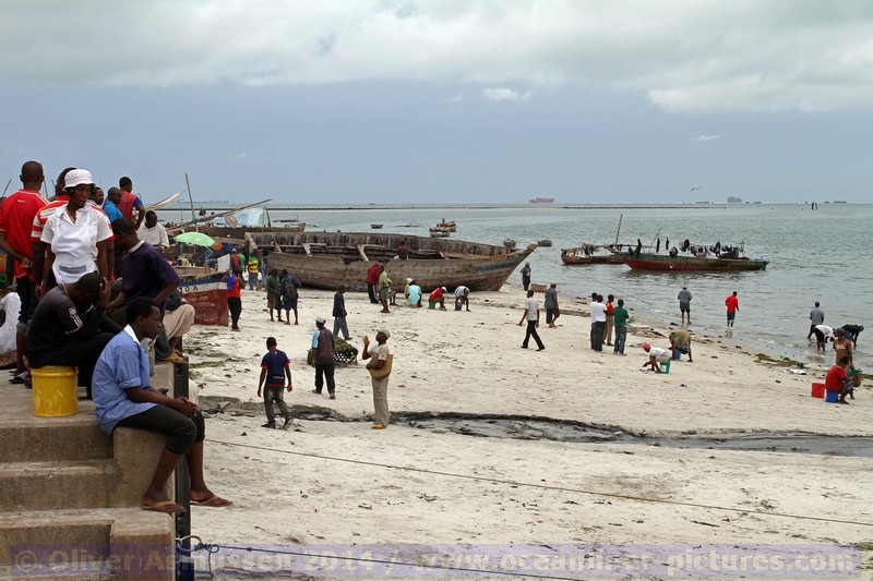 Kreuzfahrt MS HAMBURG, Dar es Salaam, Tansania 