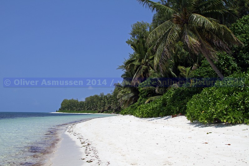 Kreuzfahrt MS Hamburg, Desroches, Seychellen 2014