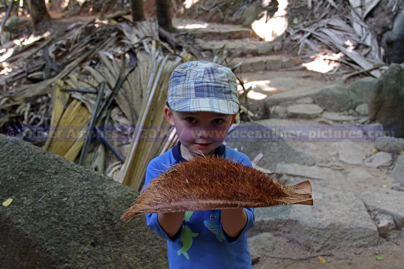 im Vallée de Mai im Vallée de Mai