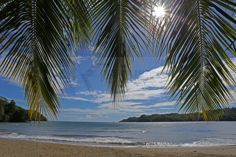 Kings Bay Tobago 24.01.2015