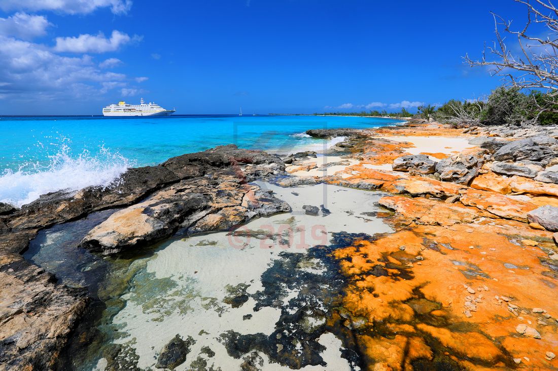 Kreuzfahrt Guide Award bestes Routing 2019 MS Hamburg