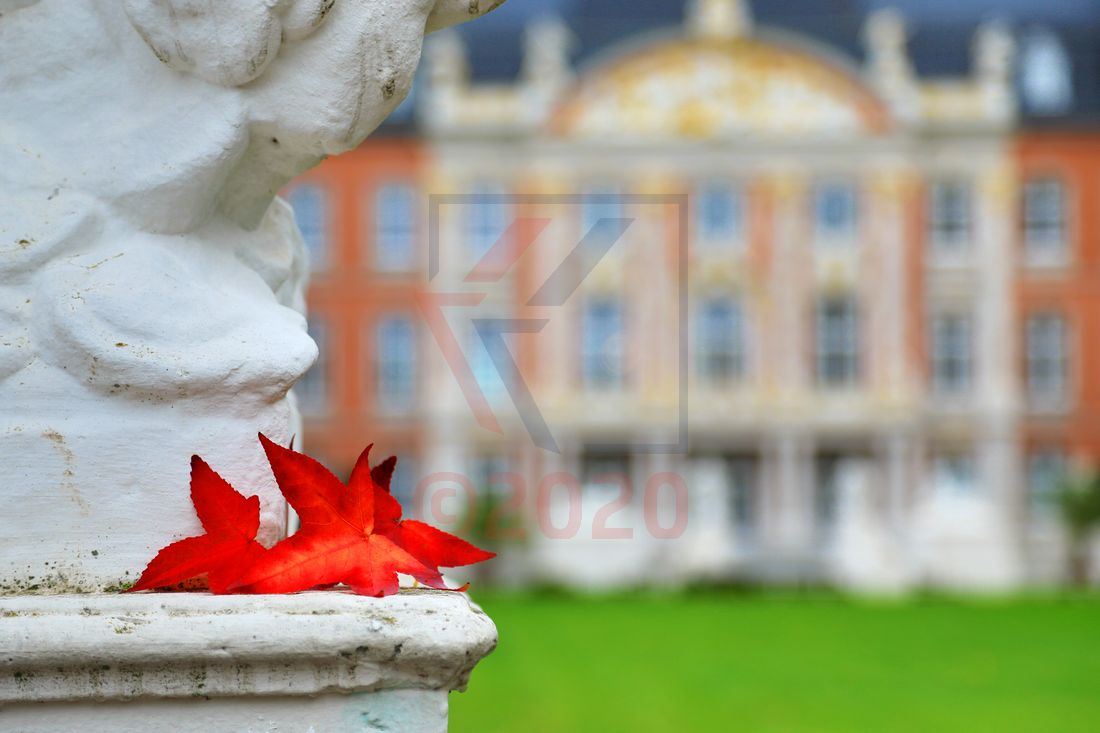 Kurfürstliches Palais und Palastgarten