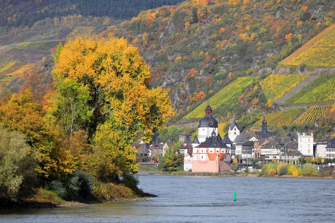 Lady Diletta bei Burg Pfalzgrafenstein
