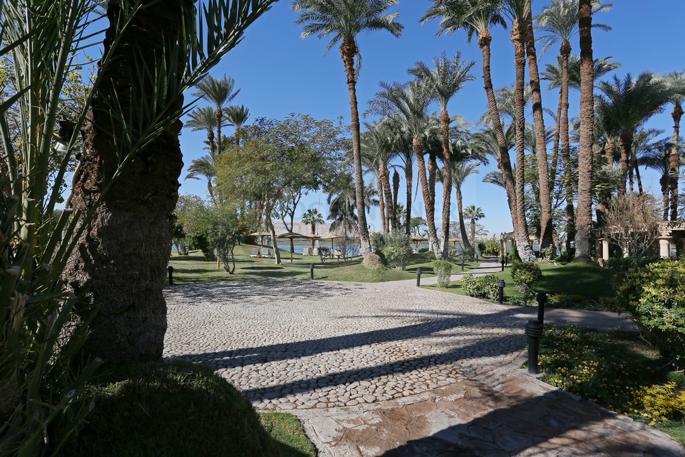 Mercure Hotel Karnak Gartenbereich mit Nil im Hintergrund Mercure Hotel Karnak Gartenbereich mit Nil im Hintergrund