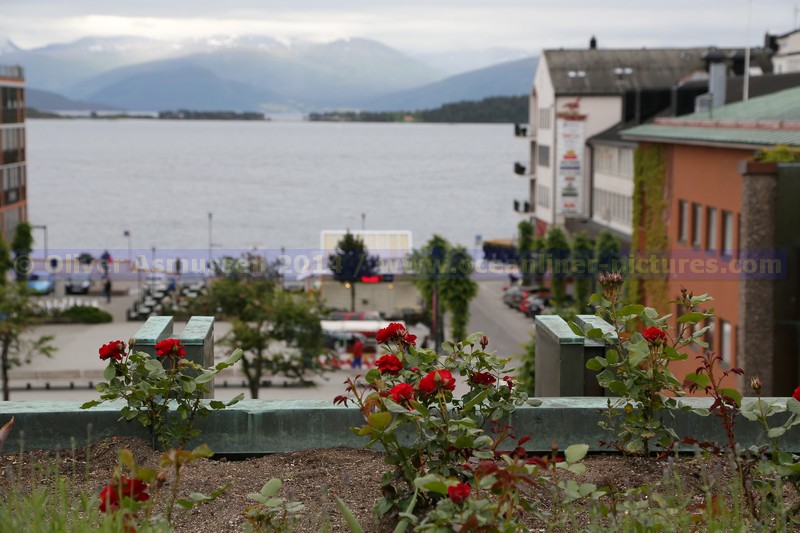 Molde die Stadt der Rosen