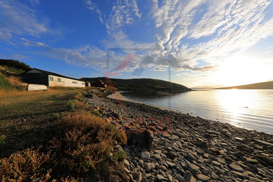Morgens in der Bucht vor West Point Island