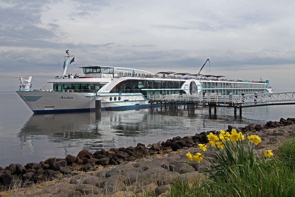 MS Alina in Medemblik am Ijsselmeer MS Alina in Medemblik am Ijsselmeer