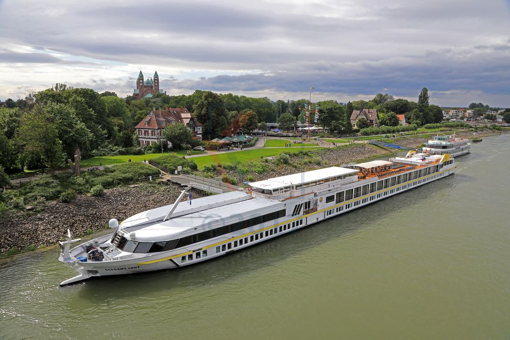 MS Elegant Lady in Speyer 12.08.2017 MS Elegant Lady in Speyer 12.08.2017