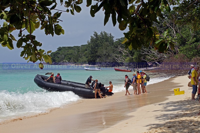 Seychellen-Insel Curieuse 