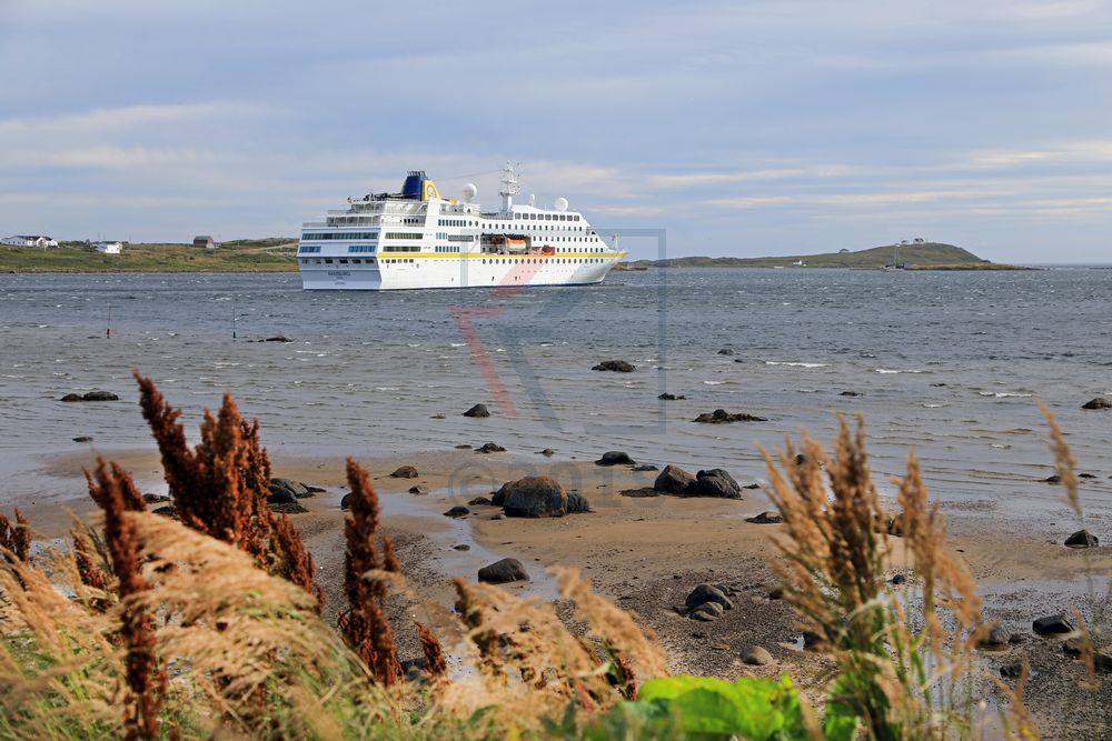 MS Hamburg auf Reede in Red Bay, Labrador MS Hamburg auf Reede in Red Bay, Labrador
