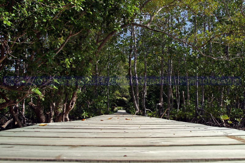 Seychellen-Insel Curieuse Seychellen-Insel Curieuse