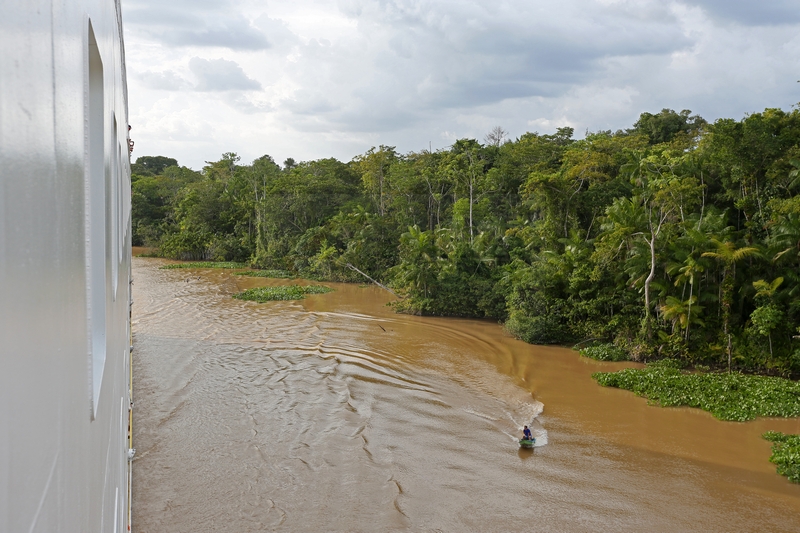 MS Hamburg und der Urwald des Amazonas am 16.01.2015 MS Hamburg und der Urwald des Amazonas am 16.01.2015