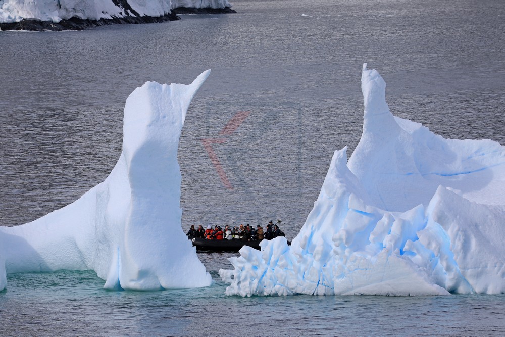 MS Hamburg Zodiac Rundfahrt in der Antarktis