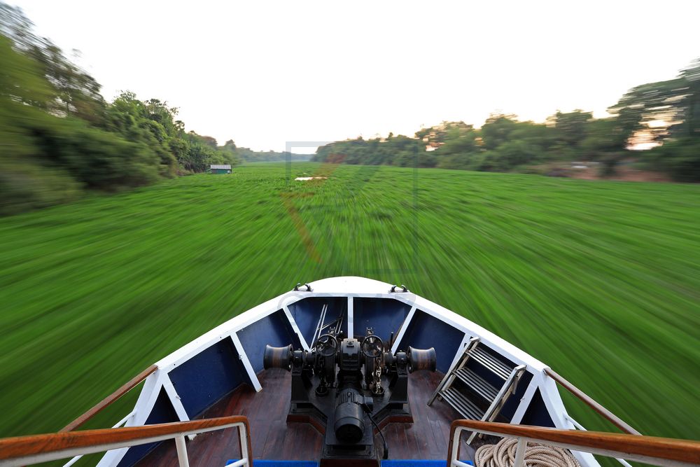 MS Lan Diep zwischen Wasserhyazinthen auf Tonle Sap River