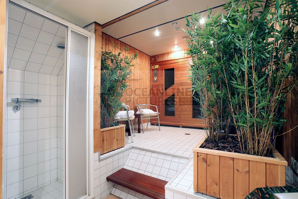 MS Switzerland Saunabereich