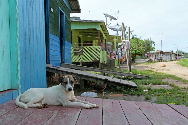 Nebenstrasse am Amazonas 05.01.2015 Nebenstrasse am Amazonas 05.01.2015