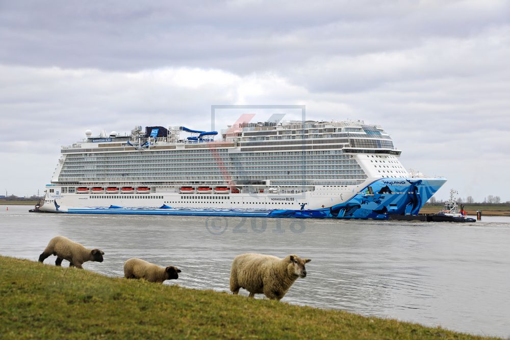 Norwegian Bliss auf der Ems