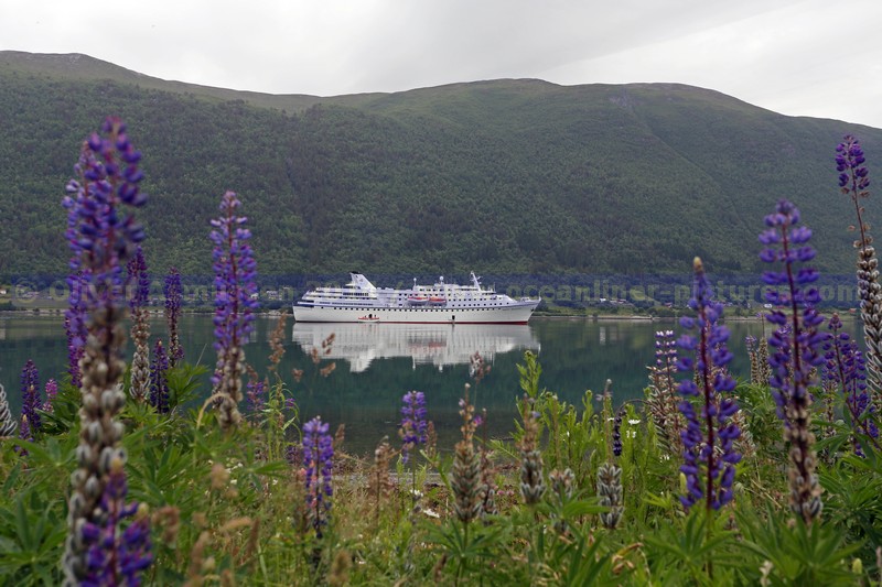 Ocean Majesty in Andalsnes