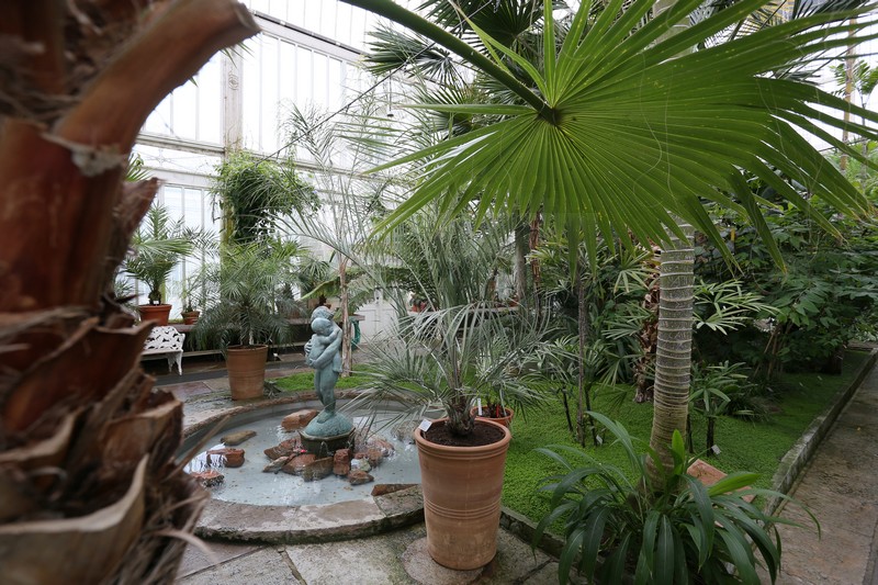 Palmenhaus Göteborg