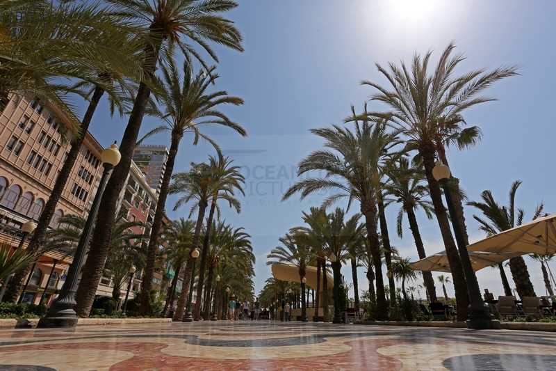 Promenade Explanada de Espana in Alicante