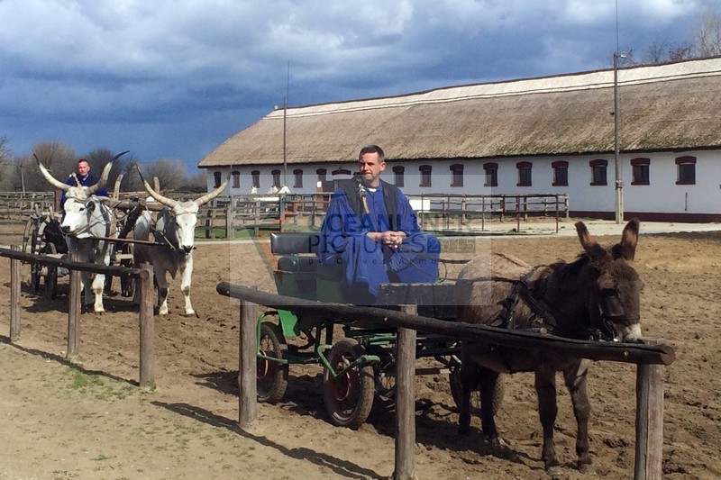 Puszta Gestuet Ausflug MS Ariana Budapest 01.04.2015