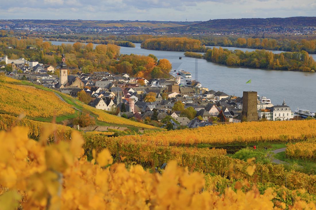 Rüdesheim am Rhein im Herbstlicht